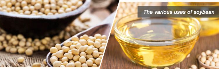 Make Soybean Oil