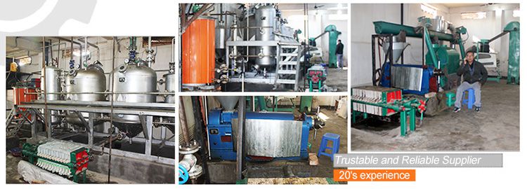 Neem Oil Extraction Plant Supplier